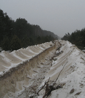 «Линия Януковича».gif