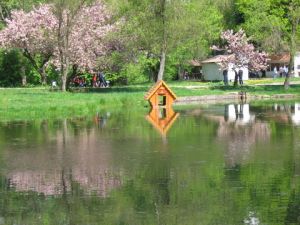 Дом отдыха.jpg