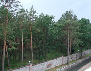 Клюев Андрей имения 7.jpg