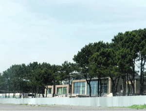 Черновецкий особняк Грузия 1.png