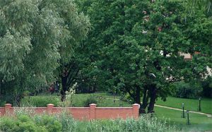 Wq Picture file path 6049.jpg